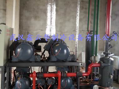朝陽湖北省某水產公司32噸速凍冷庫